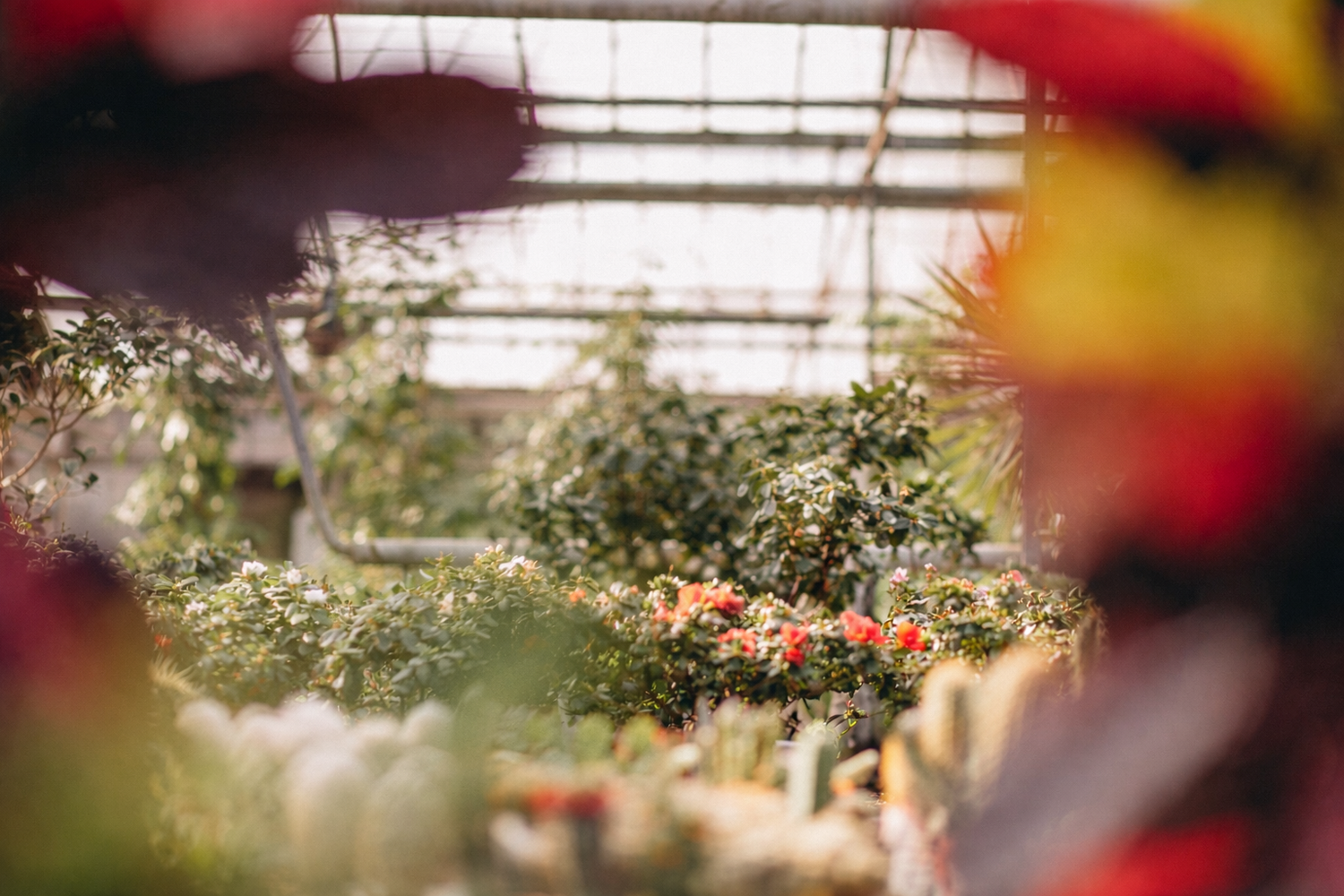 Öko Maurer Gärtnerei